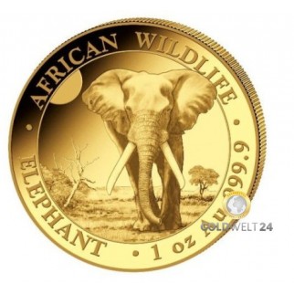 1 Unze Gold Somalia Elefant 2025